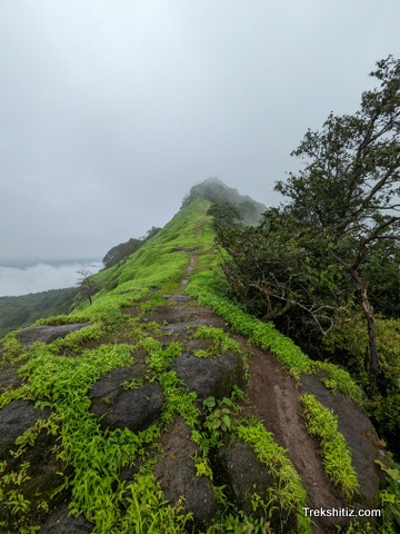 Tungi (Karjat)